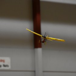 Indoor Flying 07.11.2019